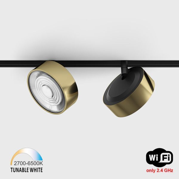 Світильник LTX для трекових систем IN_LINE SOL TW, D95mm, H33mm, LED 13W, TW DIM: 2700K(881Lm)-6500K(1025Lm), 48V DС, IP20, латунь/чорний (06.9533.13.TW.BR/BK) фото Трекові системи 48V