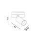 Світильник LTX для трекових систем IN_LINE TUB S A 60, D30мм, H60мм, LED 5.4W, 3000К, латунь/чорний (06.0361.8.930.BR/BK) 06.0361.8.930.BR фото 2